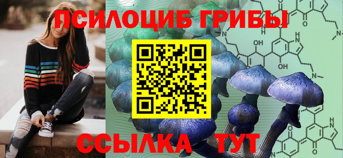 Галлюциногенные грибы MAGIC MUSHROOMS Славгород